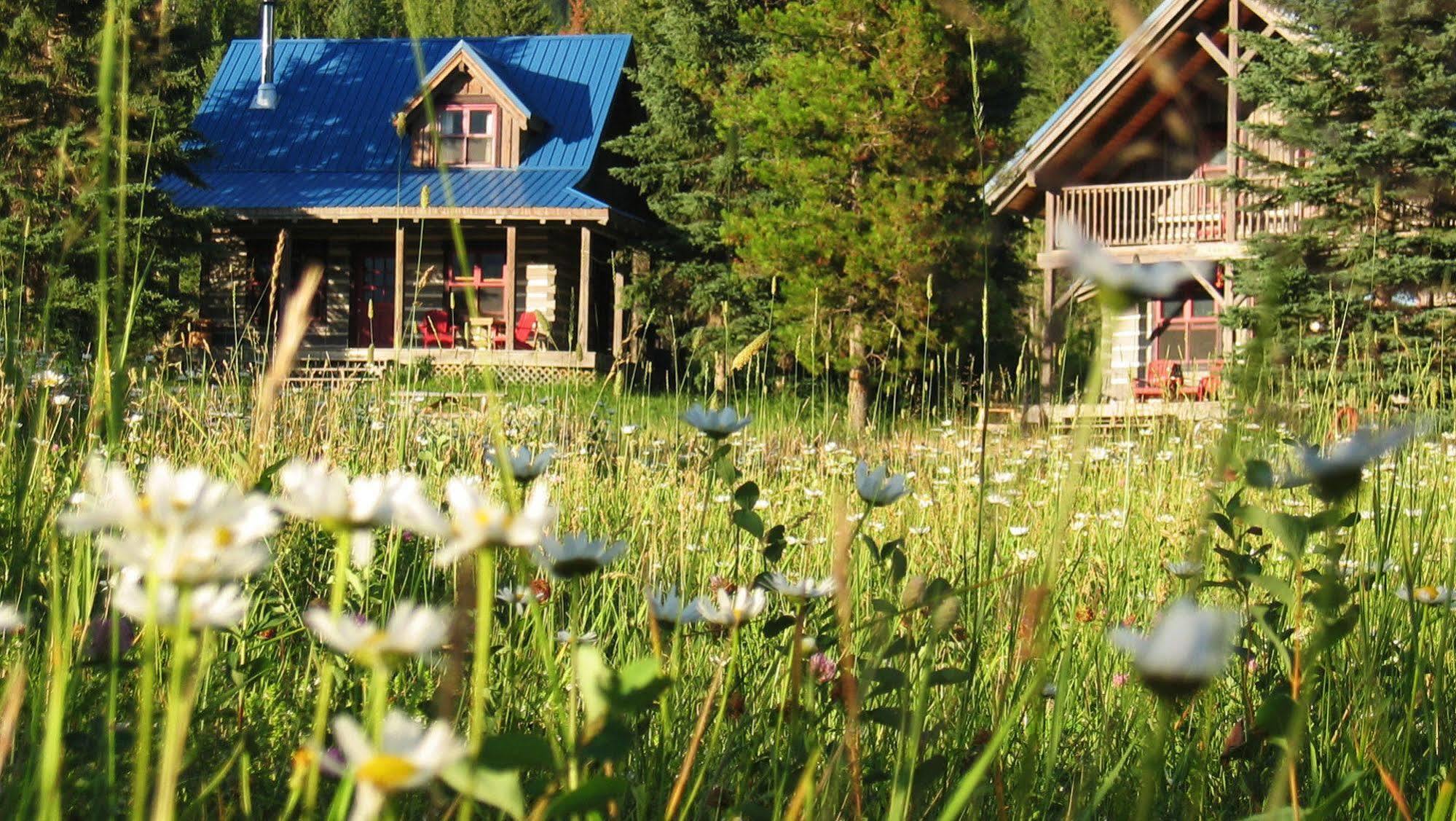 Nipika Mountain Resort Рейдиум-Хот-Спрингс Экстерьер фото